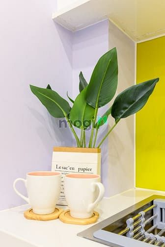 Hình ảnh Căn Hộ Mini Full Nội Thất, Có Ban Công, Full Nội Thất gần ĐH Văn Lang
