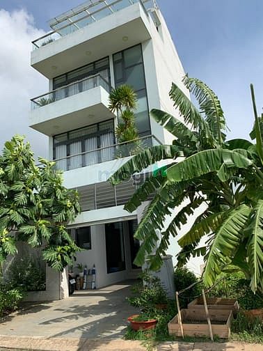 Hình ảnh Bán đất nền KDC Sở Văn Hóa Thông Tin sổ đỏ,Phú Hữu,Liên Phường,quận 9