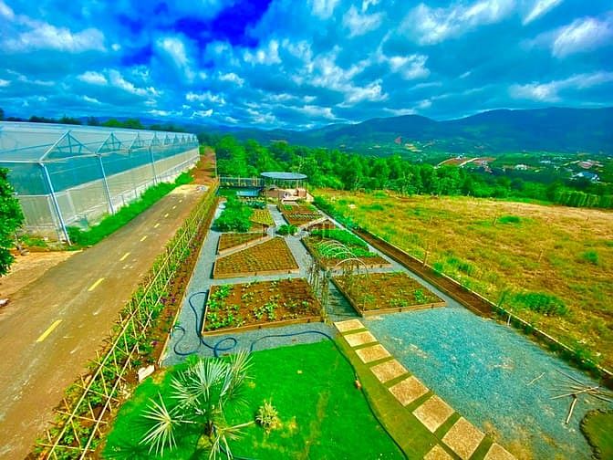 Hình ảnh Ban dat nam ban lam ha lam dong lam nghi duong