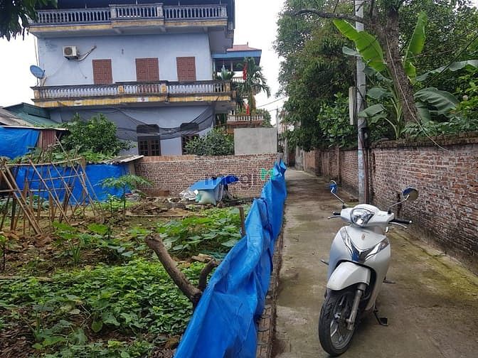 Hình ảnh Bán đất Lạc Đạo, DT 67m2, Đất đẹp, cách đường trục liên huyện chỉ 100m