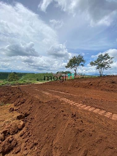 Hình ảnh Cần bán đất nền nằm trong khu dân cư