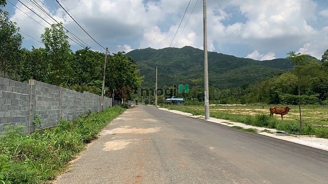 Hình ảnh Đất thổ cư đẹp cần bán gấp tại Châu Pha diện tích 149m2 giá 8xx