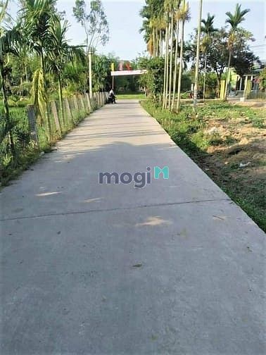 Hình ảnh Đầu tư mua dịch chỉ 590/lô ra hàng nhanh
