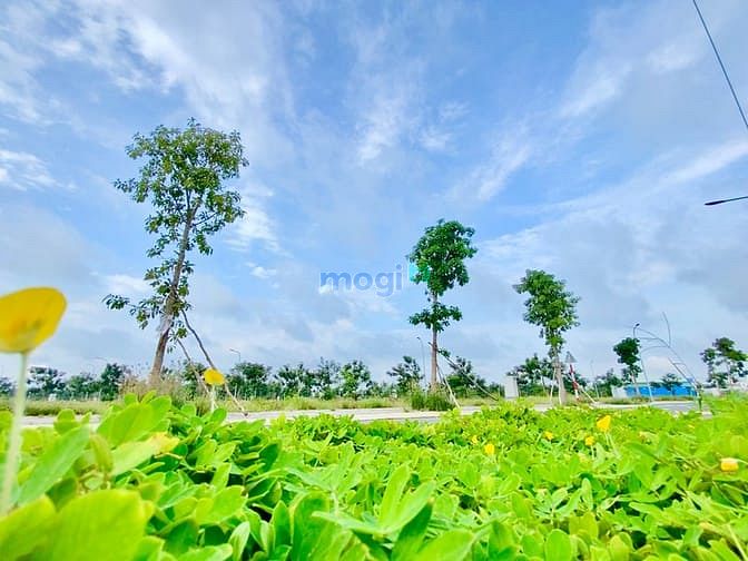 Hình ảnh Đất nền Trang MB66.COM Chính Thức - MB 66 Uy Tín, giá cực kì ưu đãi, chỉ 20 nền duy nhất, sổ hồng