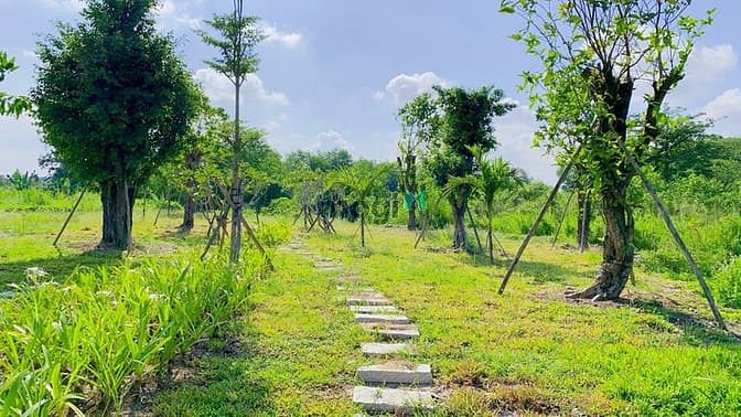 Hình ảnh Mở Bán Đất Nền đối diện Chợ, phường An Hoà, TP Biên Hoà- SỔ Hồng 100%