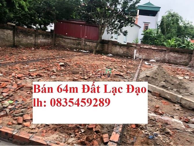 Hình ảnh Cần bán gấp 65m2 đất Lạc Đạo - Văn Lâm, ngay gần trường Tiều Học,