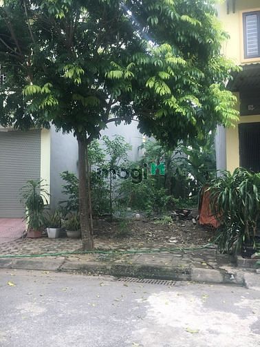 Hình ảnh bán gấp 83m2 đất tại Hòa Lạc ,có sổ , đất nở hậu,chưa đến tỷ