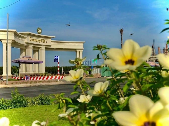 Hình ảnh Bán đất nền phân lô Đường 769, Xã Bình Sơn, Huyện Long Thành