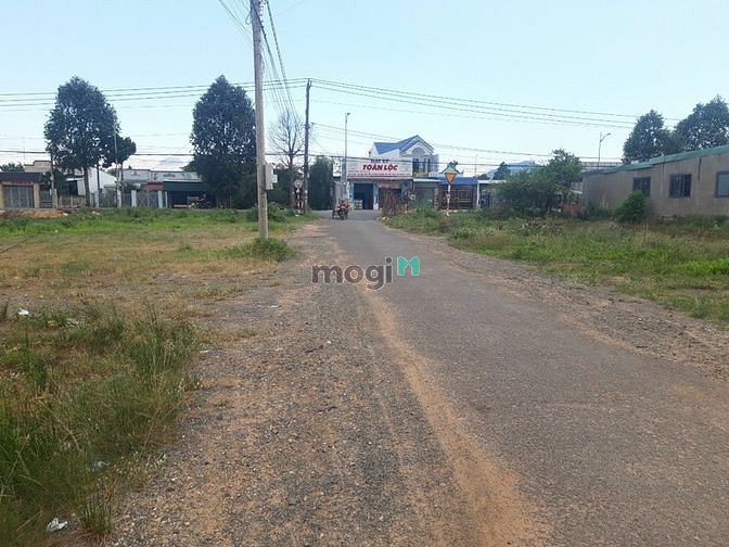 Hình ảnh Đất hắc dịch thổ cư đường nhựa 9m cần bán gấp