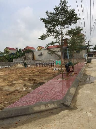 Hình ảnh Đất Thiệu Chính, Thiệu Hóa giá rẻ