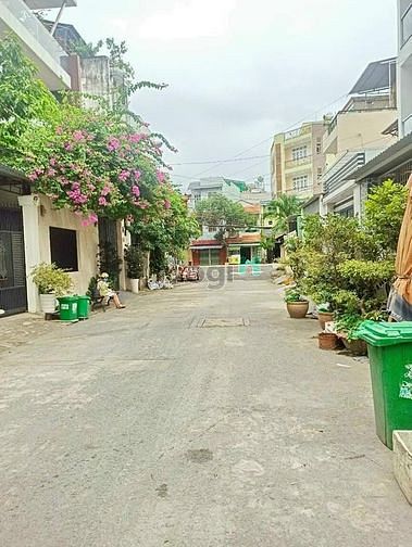 Hình ảnh Nhà phố cao cấp biệt thự kiều đàm .P.Tân Hưng Quận 7