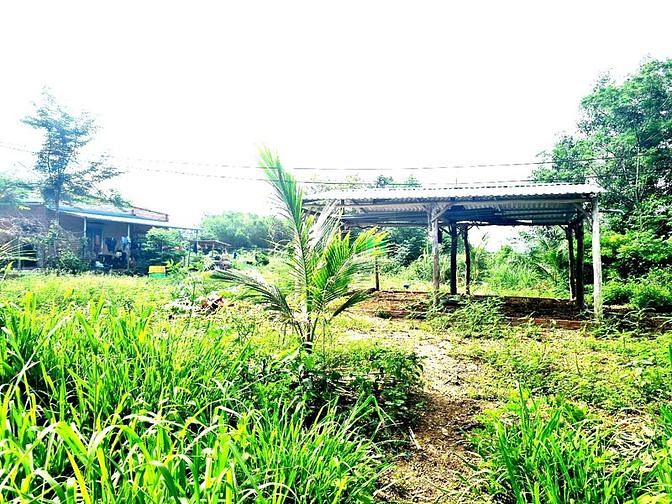 Hình ảnh Bán Đất MT nhựa 28x56m, 2 tỷ 73, Tân Nghĩa, Hàm Tân, Bình Thuận