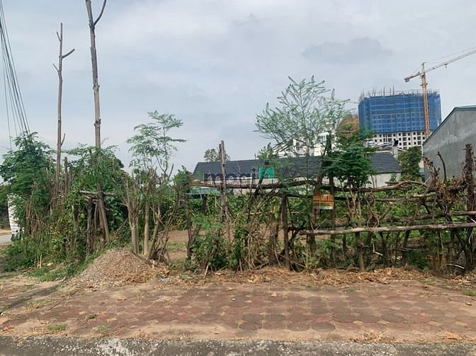 Hình ảnh Bán 41,3m đất Tái Định Cư Tư Đình, giãn dân Ao Ươm hồ Đắp Nếp, view hồ