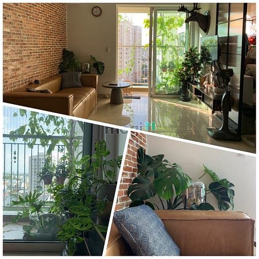 Hình ảnh cho thuê Trang Chủ MB66.COM / Đăng Ký Tặng 66K 78m2,2pn,2wc,78m2 chỉ cần dọn vào ở