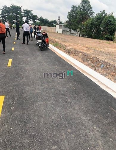 Hình ảnh Đất nền Phường Long Bình, Biên Hoà, Sổ Hồng riêng giá rẻ