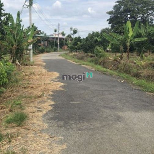 Hình ảnh Đất thổ cư khu phố 1 Hắc Dịch diện tích 146m2 thổ cư ngang 5