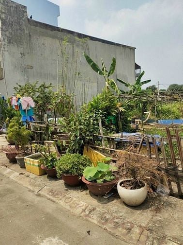 Hình ảnh Bán Đất Mặt Tiền Đường Số 2 Khu Dân Cư Bình Dân, CoopMart Bình Triệu