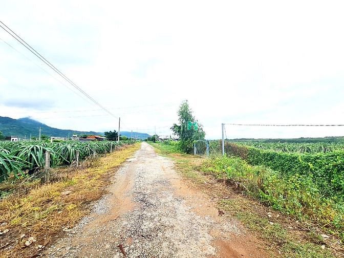 Hình ảnh Bán MT 25x50m ĐẤT TC, 1 tỷ 8, Sơn Mỹ, Hàm Tân, Bình Thuận