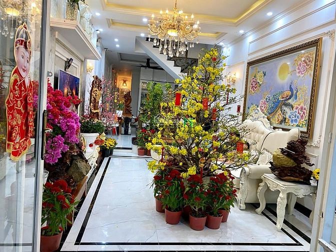 Hình ảnh Biệt thự 102 Bình Long (8mx25m)