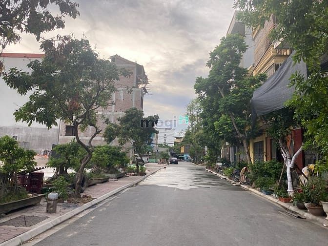 Hình ảnh Bán siêu gấp mảnh đất 111,5m đất 31ha Trâu Quỳ mặt tiền 5,55m đường 13
