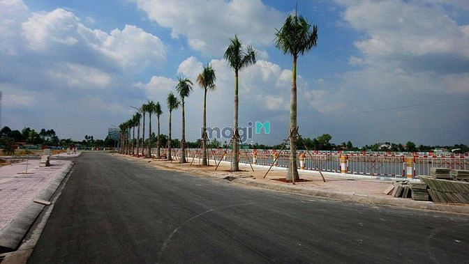 Hình ảnh Thời Điểm Vàng Để Mb6623 phiên bản mới nhất  Mùa COVIC