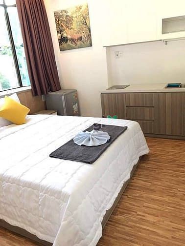 Hình ảnh Căn Hộ Cao Cấp Thoáng Mát Ngay Trần Quang Diệu Quận 3