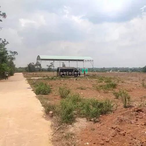 Hình ảnh Đất Nền Gần Ngay Khu Công Nghệ Cao 450 Hecta Hắc Dịch