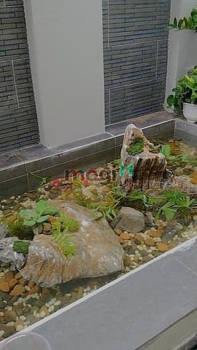 Hình ảnh Sở hữu nhà phố ven sông chỉ 1,1 tỷ