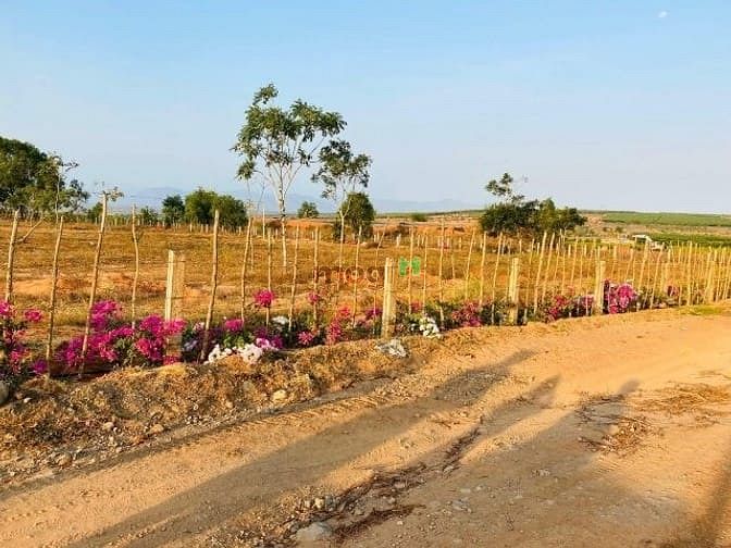 Hình ảnh Cách biển 1,8km có sổ đỏ sang tên công chứng ngày.