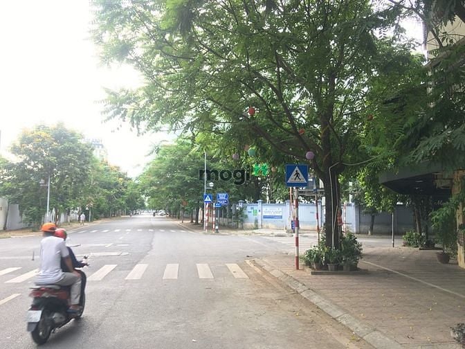 Hình ảnh Bán nhà đất phường Thượng Thanh khu phân lô đấu giá 80m2, MT 8m