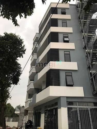 Hình ảnh Cho thuê nhà tại thành phố Thủ Dầu Một Tỉnh Bình Dương