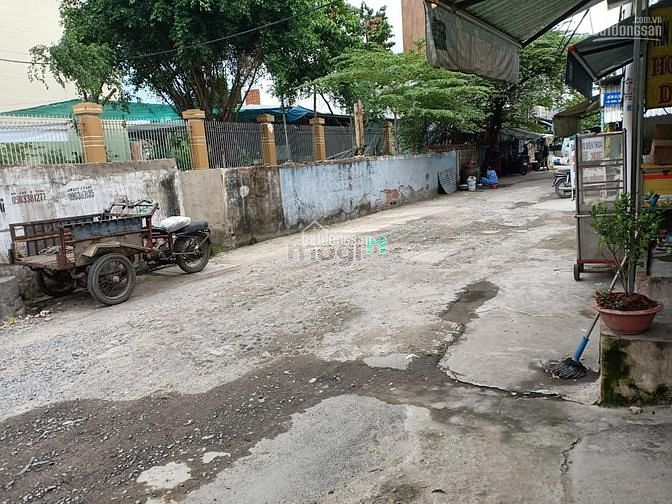 Hình ảnh Đường mở 20m bán đất xây building 51/8 Hòa Bình, Tân Thới Hòa, Tân Phú