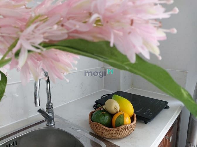 Hình ảnh Căn Hộ Studio BAN CỒNG Siêu Thoáng, LƯU NHÂN CHÚ Ngay Bờ Hoàng Sa