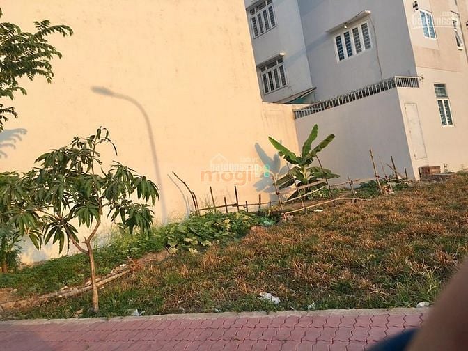 Hình ảnh bán nhanh 3 lô MT Kênh 19/5, SHR, DT: 5x16m