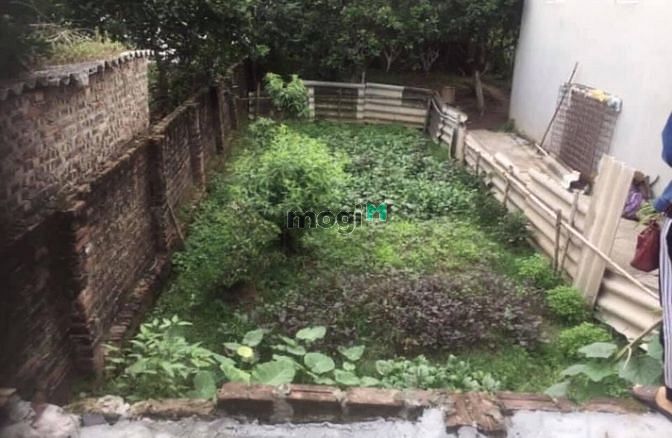 Hình ảnh Bán gấp 54m² đất ở Yên Hà, Hải Bối, Đông Anh