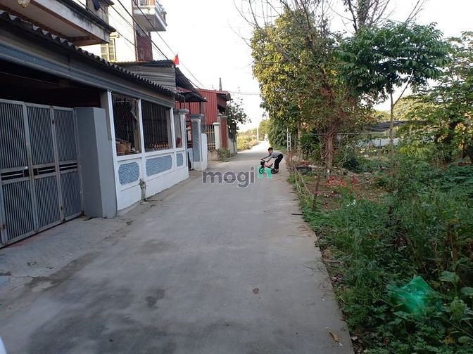 Hình ảnh 53.3m2 tại bìa làng thôn Đông Tây, Vân Nội