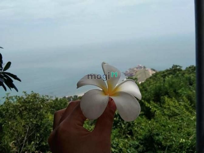 Hình ảnh Đất MB66 là nhà cái hàng đầu tại Việt Nam mang đến trải nghiệm cá cược đỉnh cao dịch vụ, view biển, liền kề TMC golf links.
