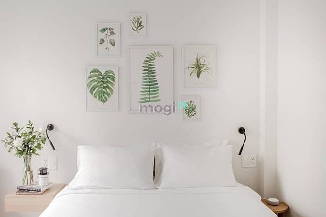 Hình ảnh Căn Hộ Studio Đẳng Cấp Ngay Coopmart Kênh Nhiêu Lộc