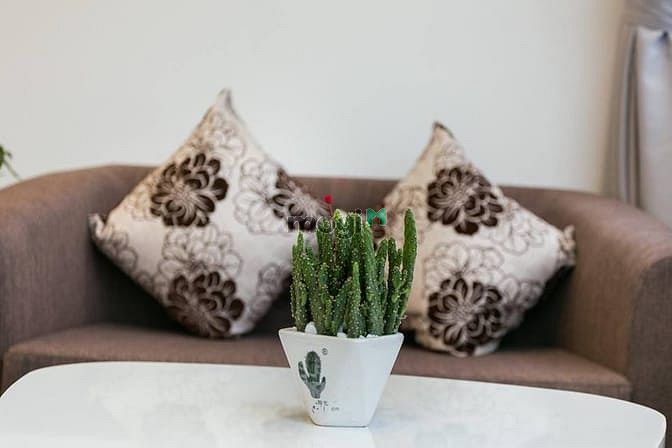 Hình ảnh Căn Hộ Studio 28m2 Cửa Sổ Thoáng Mát Cạnh Nhà Đấu Phú Thọ