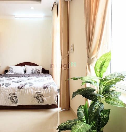 Hình ảnh Căn Hộ Studio Đẳng Cấp, Sang Trọng Mặt Tiền LÝ THƯỜNG KIỆT Q10