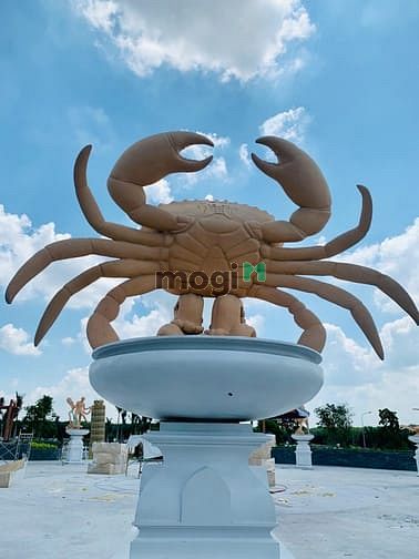Hình ảnh Đất sân bay- sổ hồng trao tay nhận ngay ưu đãi.