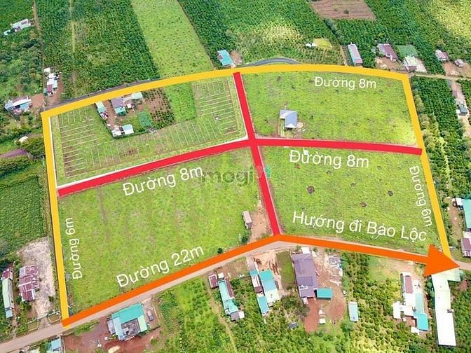 Hình ảnh Đất Nền Sổ Đỏ Panamera Bảo Lộc - Lâm Đồng