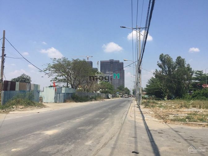 Hình ảnh Bán đất mặt tiền Đào Trí 1800m2 thổ cư mặt tiền ngang 48m