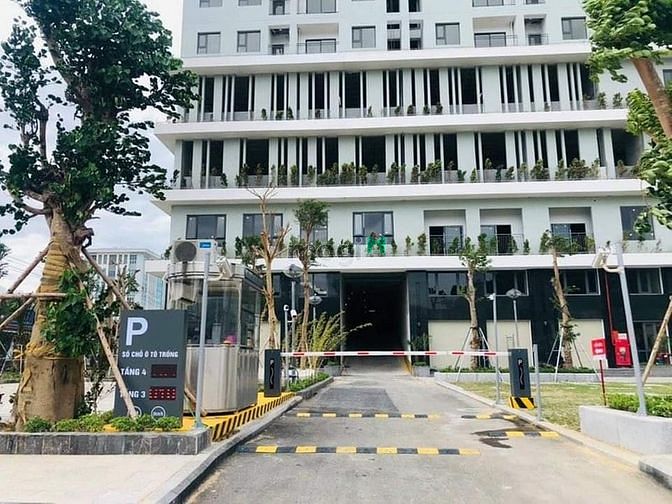 Hình ảnh ECOLIFE RIVERSIDE LÊN ĐÈN, thanh âm hạnh phúc