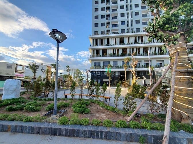 Hình ảnh ECOLIFE RIVERSIDE LÊN ĐÈN, thanh âm hạnh phúc
