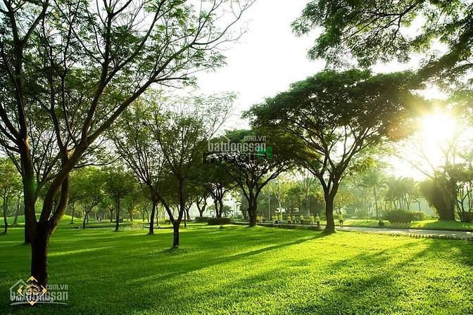 Hình ảnh Bán Trang Chủ MB66.COM / Đăng Ký Tặng 66K Riverpark Residence, Phú Mỹ Hưng, Quận 7