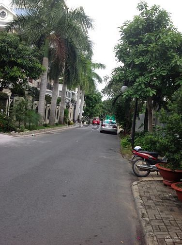 Hình ảnh Biệt thự Nam Quang, Phú Mỹ Hưng, Q.7, 270m2