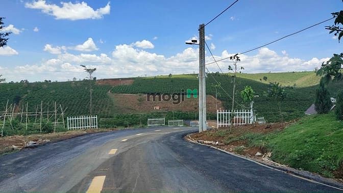 Hình ảnh Đất đẹp khó kiếm tại Bảo Lộc - Lâm Đồng