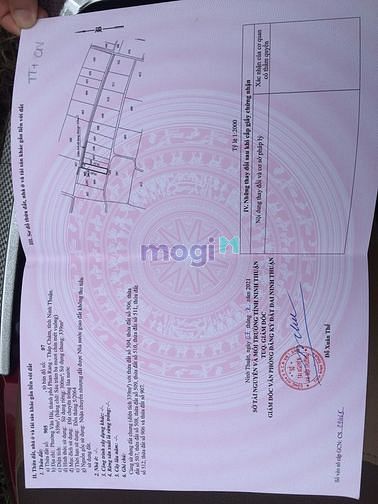 Hình ảnh Tìm chủ cho lô đất hẻm Trường Trinh