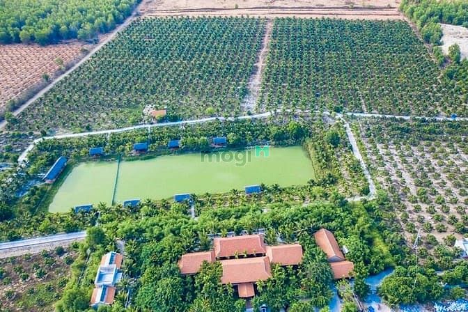 Hình ảnh Bán đất bình thuận 90.00đ/m2, sổ đỏ, đường DT716 xã Bình tân
